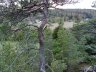 04102007122 W.jpg - Dørødveien 8. Bilder tatt oppe fra fjellet bak huset mitt. Dette er ca. mot Vest
